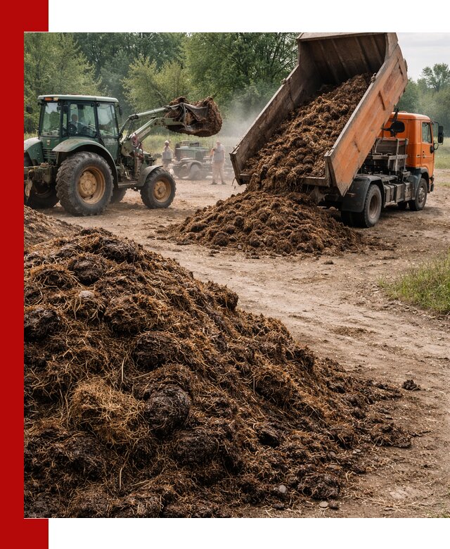 Доставка навоза самосвалами в Фрязине для сельхозпотребностей