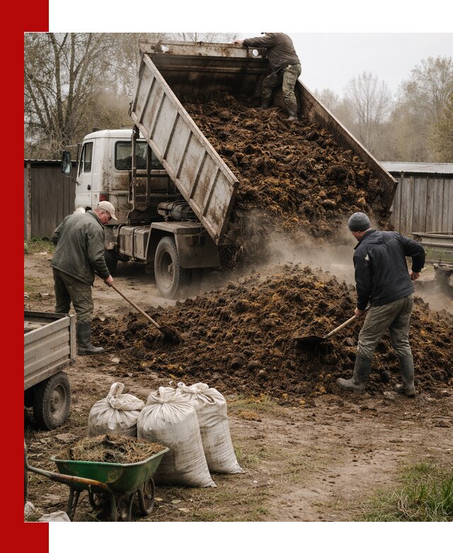 Доставка коровьего навоза самосвалом в Фрязине
